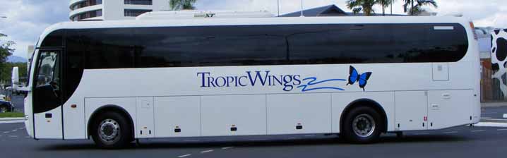 Tropic Wings BCI 22